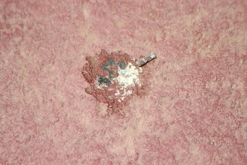 Bird poop on the floor close up