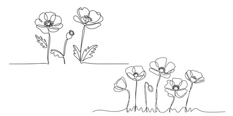 set vector black Continuous Line Drawing of Poppies Flowers, Single Line Drawing of Two Poppies and Bud