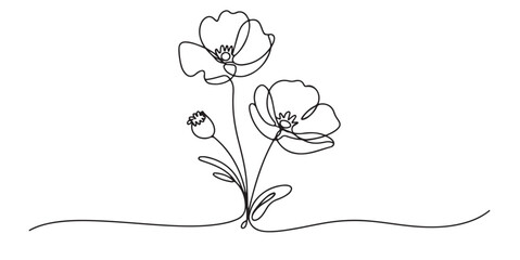 set vector black Continuous Line Drawing of Poppies Flowers, Single Line Drawing of Two Poppies and Bud
