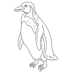 Cute cartoon hand drawn vector penguin outline.