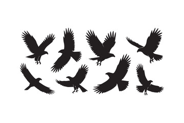 Obraz premium silhouette of birds flying in the sky
