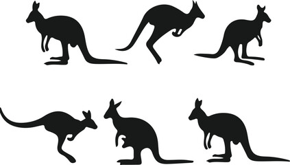 Set of kangaroo silhouettes in different jumping and standing poses, black vector illustrations for wildlife and Australian designs
