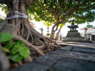 Fototapeta premium Majestic tree roots with ancient stone structures landscape