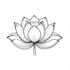 drawing of a lotus flower with petals in flat format on a white background. The flower is drawn with black thin lines