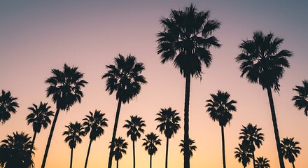 Sunset Silhouette Serenade