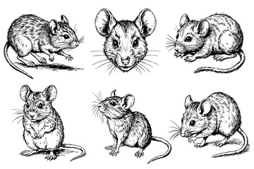 Set of mouse portraits with various facial expressions in ink