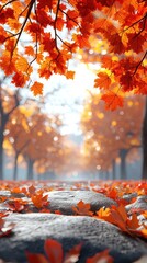 Autumn pathway through trees