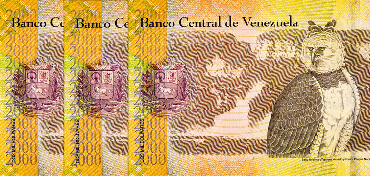 2000 Venezuelan Bolivars Banknote with the image of Aguila Arpia. Venezuelan money.