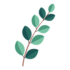 Watercolor Eucalyptus Branch