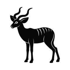 Obraz premium Kudu Horns Spiral Vector Silhouette