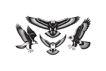 eagle with wings flying in the sky