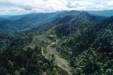 Naklejka premium Drone view of An aerial view of a massive deforestation area in a tropical rainforest.
