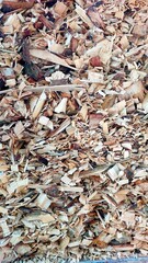 Wood Chips Used as Biofuel for Sustainable Energy Production in Various Applications