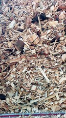 Wood Chips Used for Biofuel Production in Sustainable Energy Initiatives