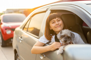 Young asian woman in casual outfit of cheerful with dog looking out of car window. Young female...