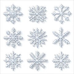 Winter Snowflake Illustrations