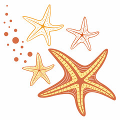 Three starfish ocean summer beach design illustration