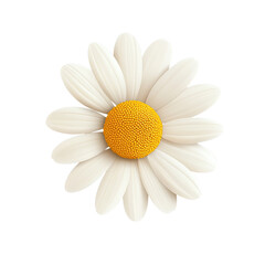 Single white daisy with vibrant yellow center on transparency background