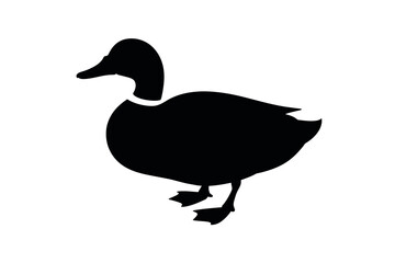 Black duck silhouette vector illustration image