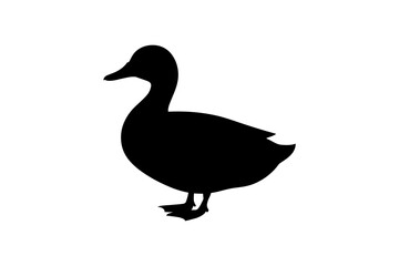 Duck silhouette vector image for graphic design use