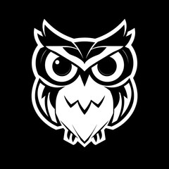black and white owl
