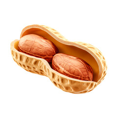 Two peanuts inside their shell closeup view