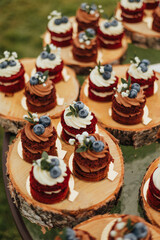 Beautifully decorated mini layer cakes with chocolate or vanilla frosting, topped with blueberries and flowers, served on rustic wooden slices