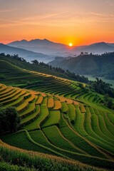 Naklejka premium a view of a beautiful sunset over a rice field