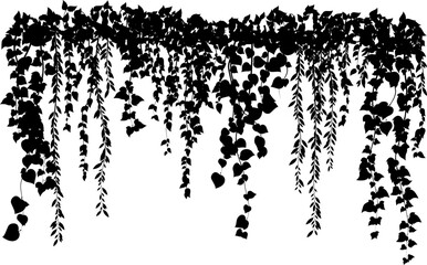 Hanging plants. Various plants branches wall. Simplistic foliage border. Horizontal isolated vector decoration.