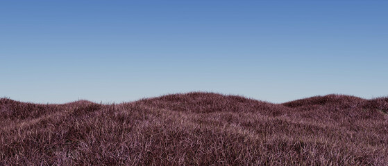 A field of purple grass with a blue sky in the background