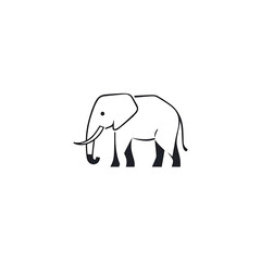 Fototapeta premium elephant vector illustration