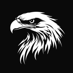 Fototapeta premium Black and white eagle head illustration with sharp eye and detailed feathers silhouette on black background for logo design and branding concept art