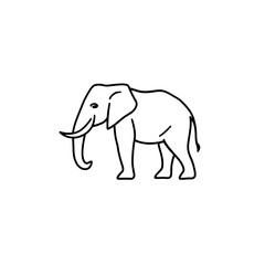 Fototapeta premium elephant vector illustration