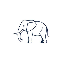 Fototapeta premium elephant vector illustration