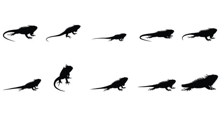 Iguana Silhouette Vector Set – Black Reptile Icons in Various Poses on White Background