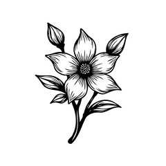 Elegant botanical illustration featuring a detailed floral blossom with minimalist design