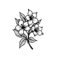 Elegant floral vector illustration, a monochrome blossom design on white backdrop