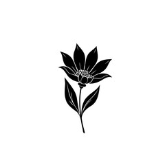 Elegant floral botanical illustration in black and white monochrome for creative design