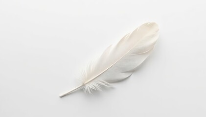 Obraz premium A single white feather against a pristine white background , art, texture