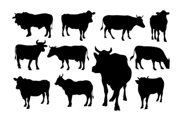 set of cow silhouettes and poses vector illustration
