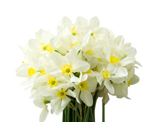 Freigestellter Strau&szlig; aus Osterglocken. Geeignet f&uuml;r selbst gestaltete Gru&szlig;karten oder Bildkompositionen.