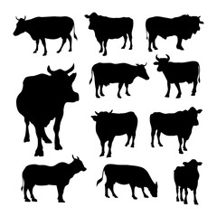 set of cow cattle silhouette collection