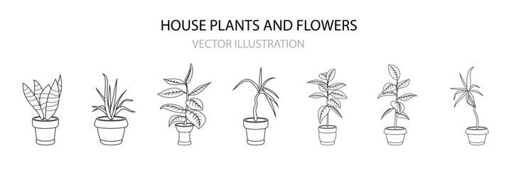 Indoor and office plants in pots, set
House plants in pots office flowers tropic leaves, VECTOR ILLUSTRATION