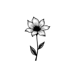 Elegant botanical illustration showcasing a stylized floral design in monochrome