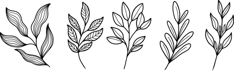 Collection of Hand-Drawn Leaf Illustrations in Black and White. Botanical Line Art Style Featuring Minimalist and Elegant Foliage.