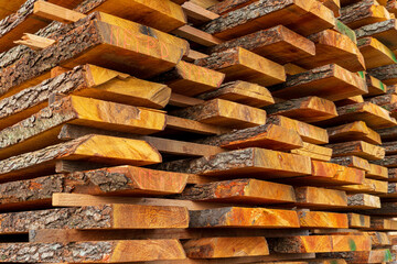A variety of wooden planks are stacked in a lumber yard, showcasing different textures and colors under natural light