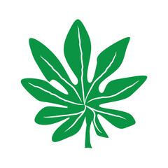 Simple papaya leaf illustration. Tropical plant design element.