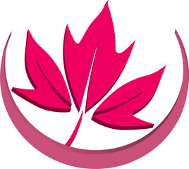 3d maple leaf enclosed within a matching circle .