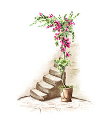 Patio Architectural element, Stone staircase up, decorated with plants and flowers,  Hand drawn watercolor illustration with copy space, isolated on white background