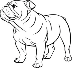 french bulldog vector illustration